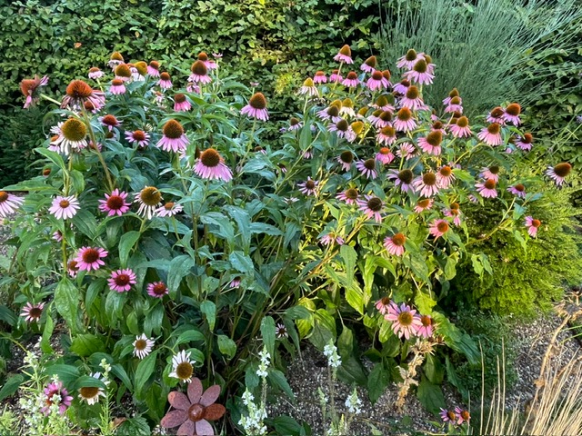 blumen am feld kopie