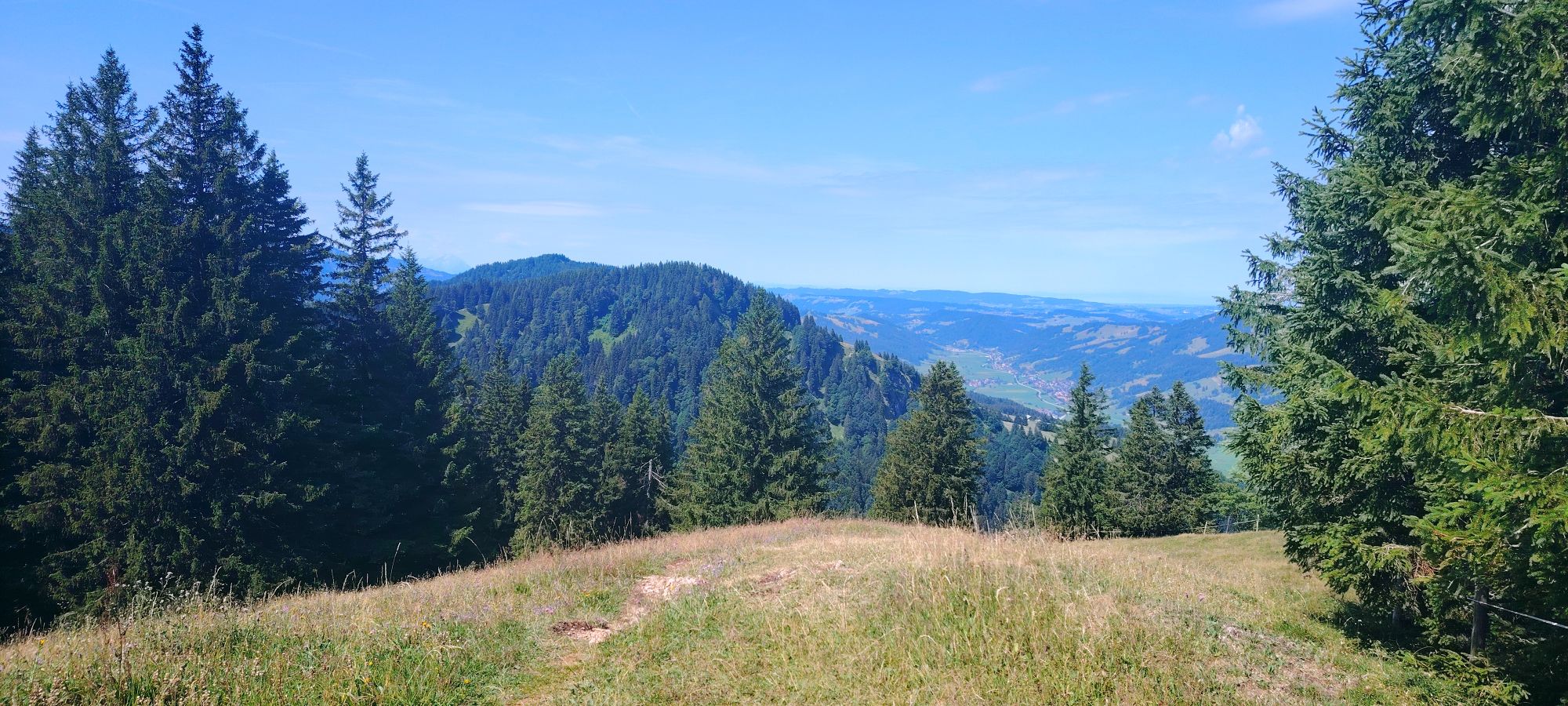 Wald und Berge